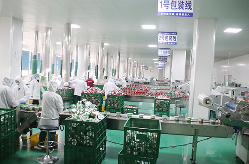 麗星加班加點(diǎn)忙生產(chǎn)，嚴(yán)守產(chǎn)品質(zhì)量