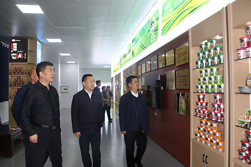 國家、省、市鄉(xiāng)村振興局等**一行蒞臨麗星公司進(jìn)行調(diào)研工作