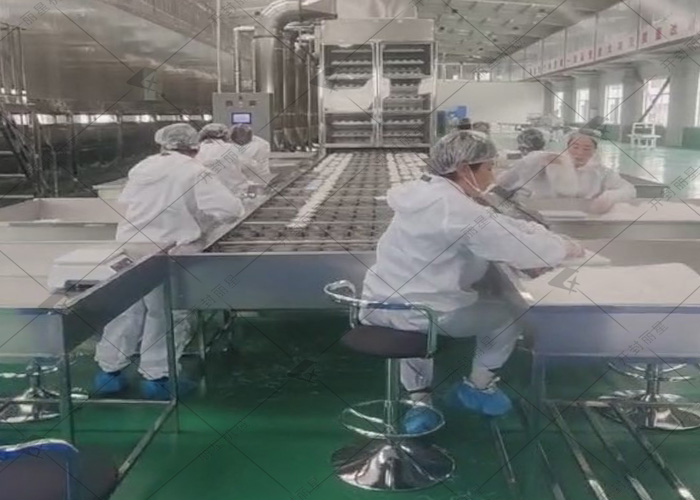 麗星日產(chǎn)10噸的粉絲生產(chǎn)線(xiàn)試機(jī)進(jìn)行中