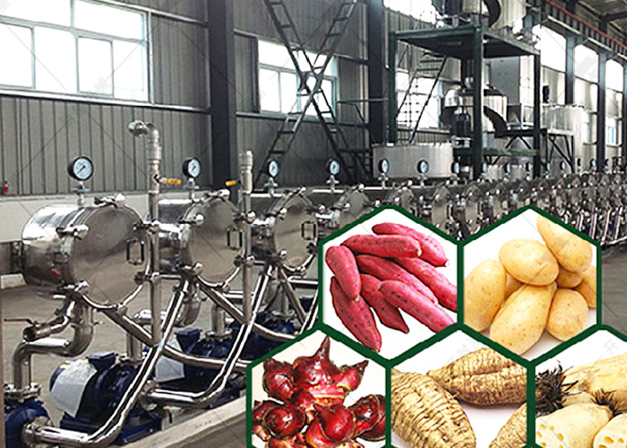 淀粉加工設(shè)備廠(chǎng)家麗星詳解淀粉的分類(lèi)依據(jù)