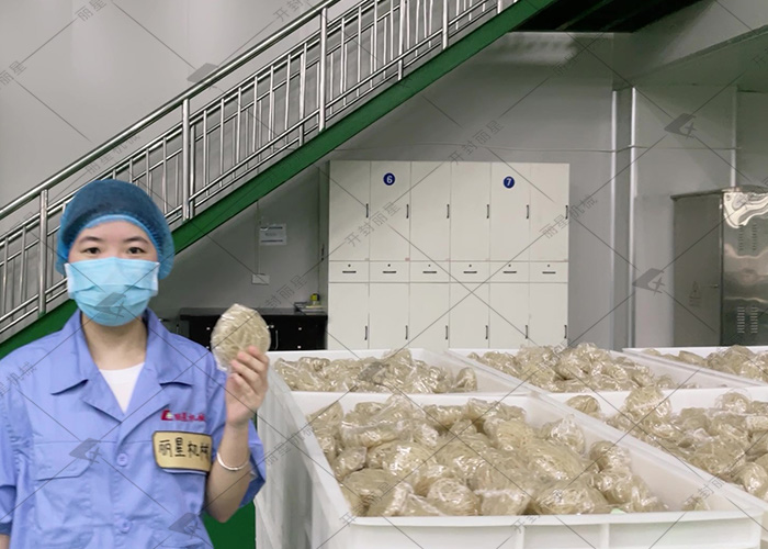 從原料到口感，讀懂方便粉絲與方便面的差異